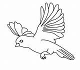 Burung Mewarnai Draw Colorluna Lucu Getdrawings источник sketch template
