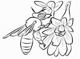 Coloring Pages Bee Insect Realistic Printable Honey Flower Beehive Getdrawings Printables Rainbow Fish Guy Th Car Family Drawing Amazing Flying sketch template