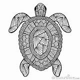 Turtle Zentangle Stylized sketch template