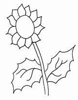 Sunflower Coloring Color Pages Sunflowers Colouring Clipart Printable Template Book Flower Gif Colour Cliparts Kids Print Clipground Library Summer Size sketch template