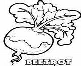 Beetrot Lettuce sketch template