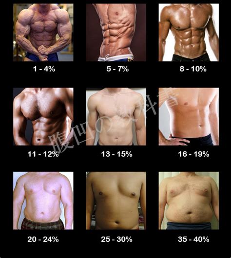 男性の理想の身体の体脂肪率は？画像で解説 腹筋を割る方法【腹ヘコの教科書】
