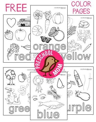 color words coloring pages