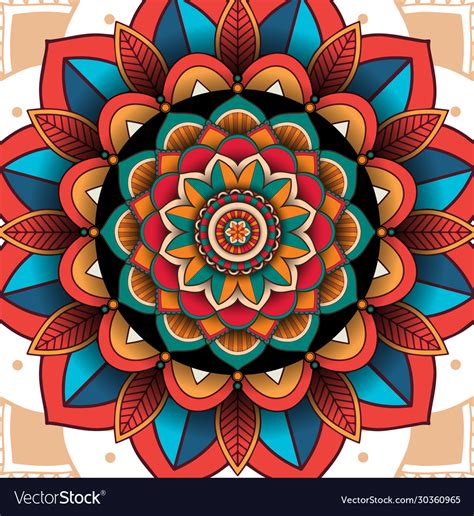 colorful mandala patterns design royalty  vector image