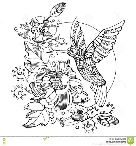 awesome  adult humming birdl coloring pages hummingbird