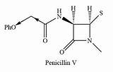 Penicillin Benzylpenicillin Differs Synthetic Acid Solve sketch template