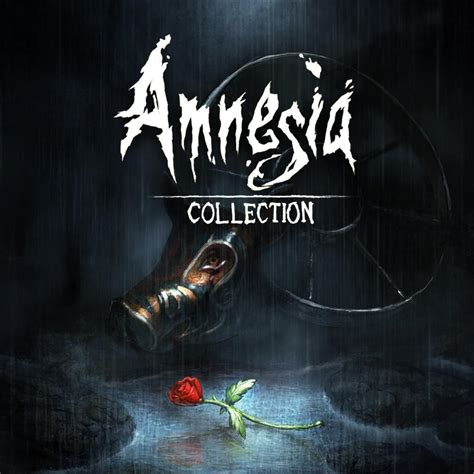 amnesia collection igncom