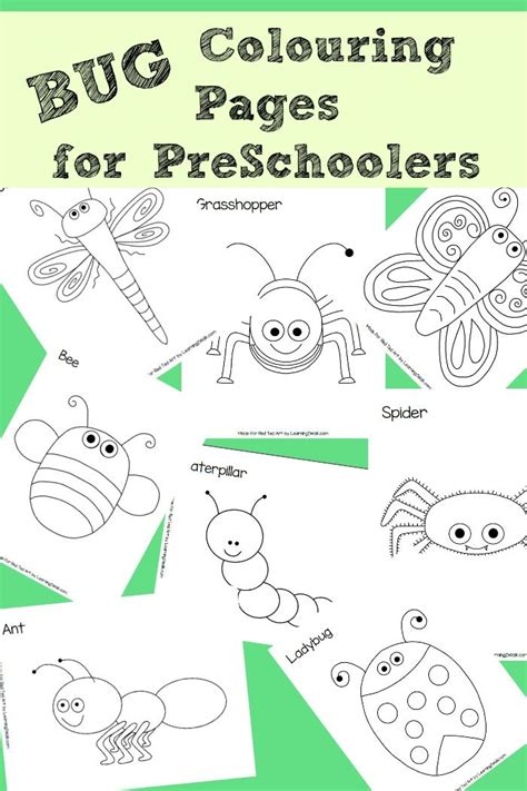 fabulous bug colouring pages perfect  preschoolers  explore