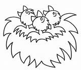 Nest Coloring Colouring Birds Pages Kids Coloringhome sketch template