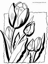 Coloring Pages Spring Flowers Flower Color Printable Drawings Tulips Nature Food Four Sheets Springtime Summer Book Colouring Kids Sheet Para sketch template