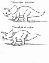 Triceratops sketch template