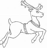 Reindeer Rentier Babbo Rudolph Renna Renne Ausmalbild Rensdyr Tegning Natalizi Julemanden Navidad sketch template