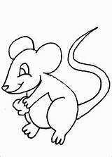 Mice Rodents sketch template