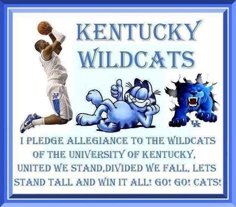 Wildcats Of Kentucky Big Blue Nation University Of Kentucky