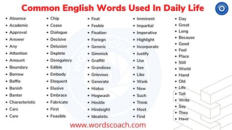 common english words   daily life word coach