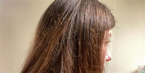 dry damaged hair whats    hair     fix  rhair