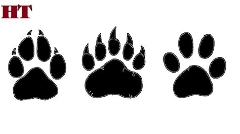 draw  dog paw print step  step amanda gregorys coloring pages