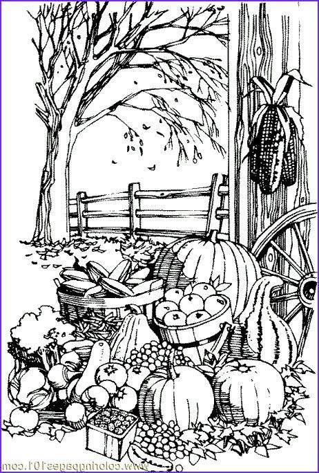 fall harvest coloring page  autumn coloring pages fall coloring