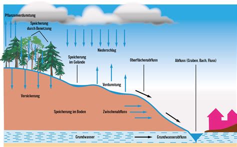 wasserkreislauf generationblue