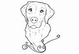 Retriever Labrador Divyajanani Kleurplaat Bestcoloringpagesforkids Albanysinsanity sketch template