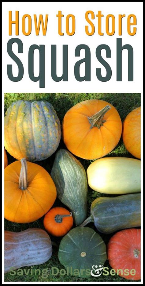 How To Store Different Types Of Squash Saving Dollars And Sense