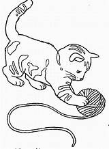 Kitten Coloring Pages Real Getdrawings sketch template