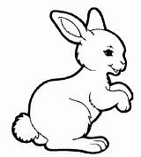 Coloring Brer Pages Rabbit Getdrawings sketch template