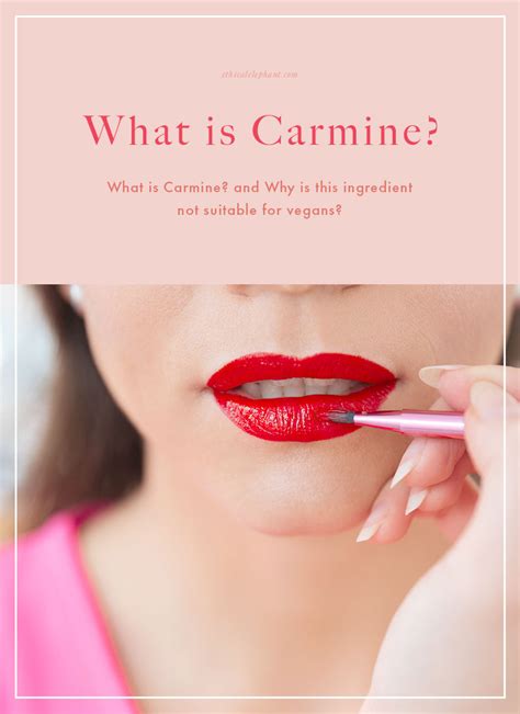 Is Carmine Vegan What Vegans Need To Know About Carmine