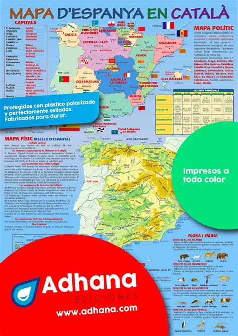 poster en catala mapa despanya en catala adhana laminas  poster educativos  alumnos