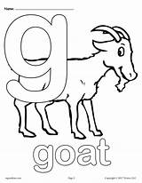 Goat Supplyme Lowercase Lettern Malbuch Multiplication Familiar Mpmschoolsupplies sketch template