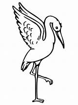 Stork Coloring Bestcoloringpagesforkids Storks sketch template