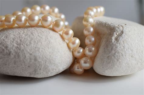 jewelry pearls jewelry necklace shine beauty jewelry pearls