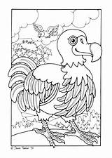 Dodo Coloring Para Edupics Colorear Pages Bird Dibujos Dibujo Large Sheets Visitar Choose Board sketch template