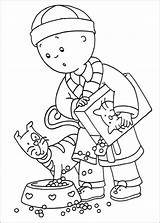 Caillou Coloring Pages Printable Popular Library Book sketch template