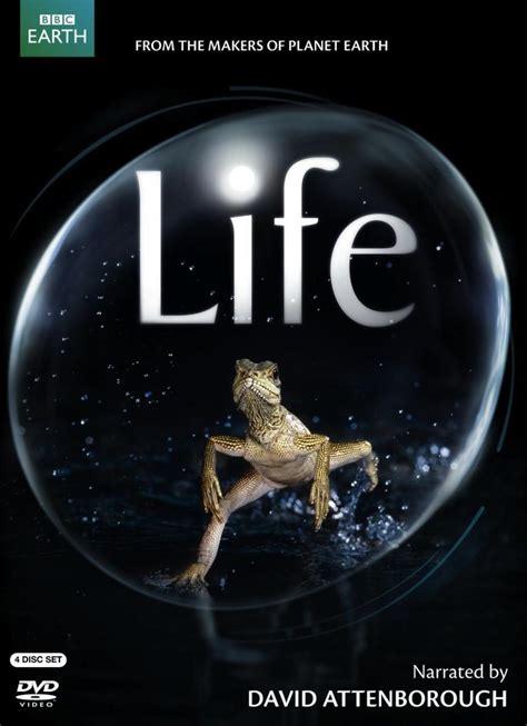 life miniserie de tv  filmaffinity