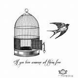 Bird Cage Drawing Tattoo Birdcage Vintage Open Set Tattoos Them Drawings Broken Img0 Etsystatic Sleeves Paintingvalley Collection Flying Wickedly Quote sketch template