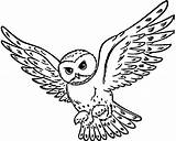 Harry Eule Hedwig Malvorlage Tegninger Ausmalen Websincloud Eulen Colorear Chouette Kleurplaat Desenho Kleurplaten Printen Tekeningen Einladungen Tegning Farvelægning Tekening Vogel sketch template
