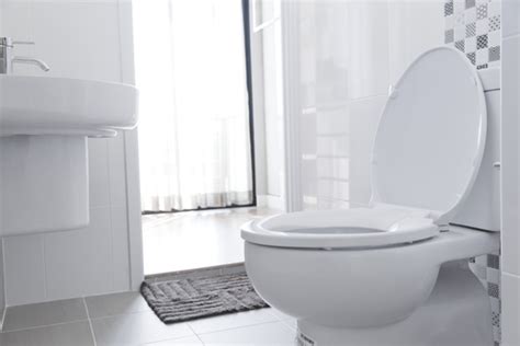 pour bleach  toilet singapore plumbing services