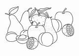 Fruits Still Outlines Outlined sketch template