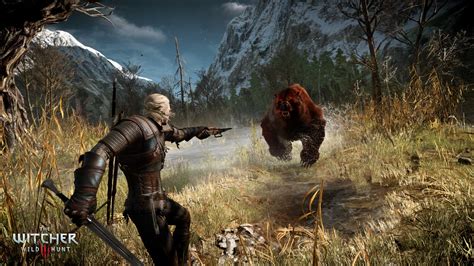 the witcher 3 wild hunt to simulate or not to simulate a witcher 2
