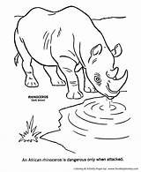 Coloring African Animals Pages Kids Wild Animal Water Rhino Big Five Drawing Colouring Honkingdonkey Realistic Books Printable Rhinoceros Ferrari Jungle sketch template