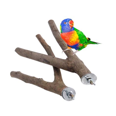 parrot perches bird wooden natural wood fork stand  small parakeets cockatiels conures