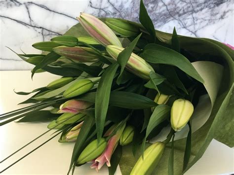 lily love stems flower market