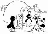 Pingu Coloring Pages Kids Para Hockey Pintar Colorear Sheets Tegninger Imprimir Talking Coloringpages1001 Dibujos Fun Kleurplaten Baby Penguin Seals Disney sketch template