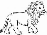 Lions Mewarnai Imprimer Singa Jungle Animales Dessins Zebra Coloriages sketch template