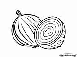 Onion Coloring Drawing Pages Template Sketch Gif Popular Getdrawings sketch template