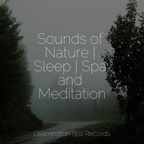 sleeping  clouds zen  gardenpure serenity spa  massage
