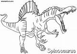 Spinosaurus Coloring Pages Print Animal sketch template