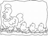 Chicken Pages Chicks sketch template