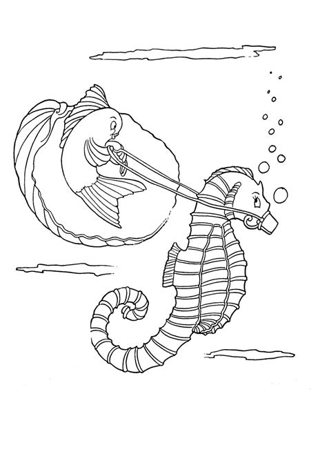 kids printable seahorse coloring page  graphics fairy